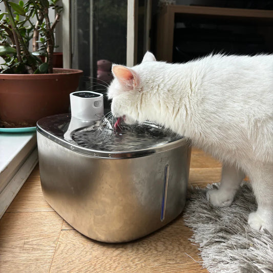 Katzenbrunnen Edelstahl Kabellos — Trinkbrunnen Katze Leise mit Bewegungssensor USB