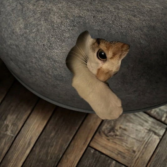 Katzenhöhle Filz Donut — Kuschelhöhle Katze Wolle Waschbar mit Tunnel 4 Farben