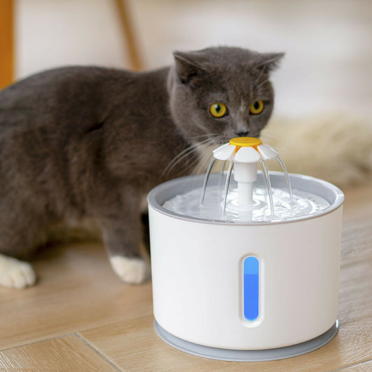 Leiser Trinkbrunnen Katze Edelstahl in Benutzung